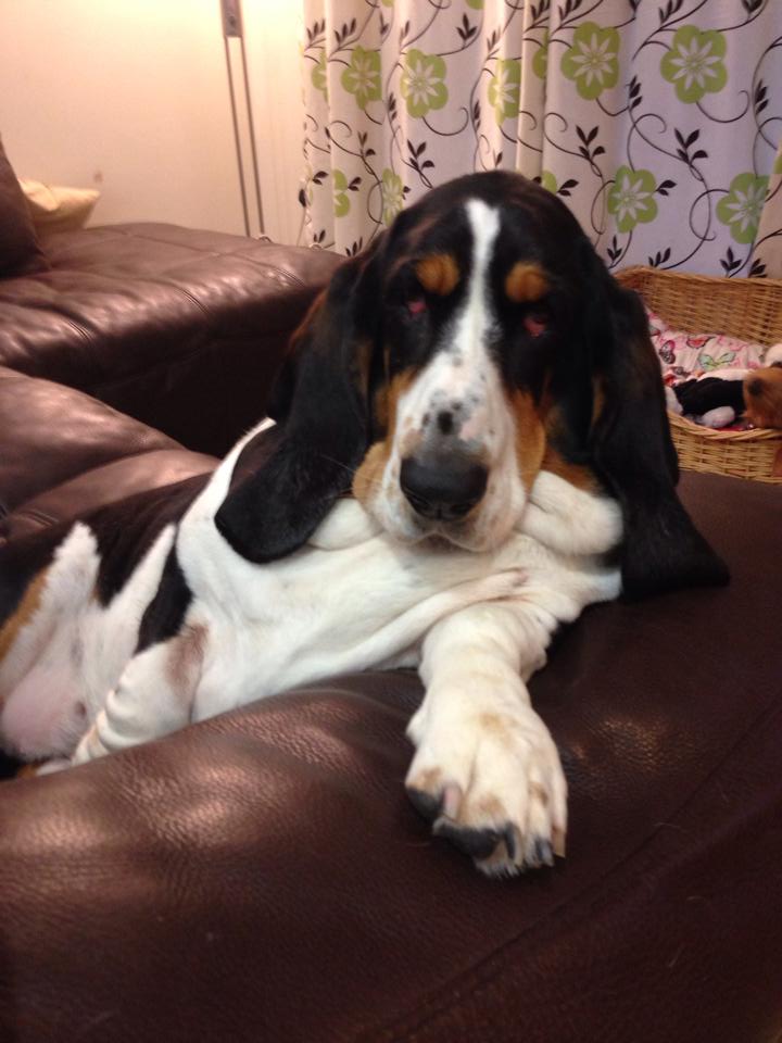 1510005_10201406188667998_274251182_n (1).jpg